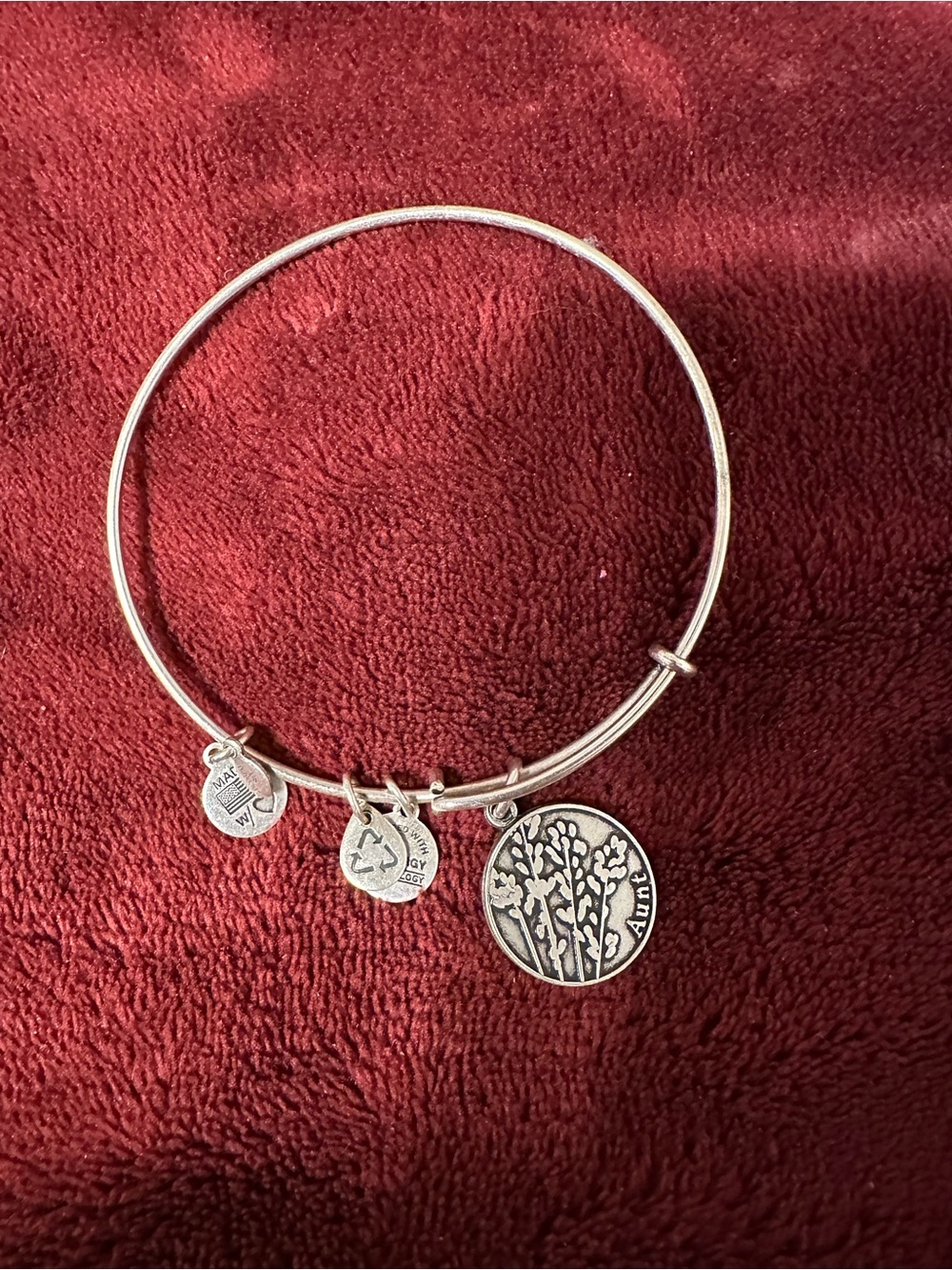 Alex and Ani Silver Tree of Life Charm Bangle
